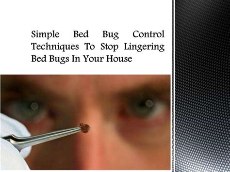 Simple Bed Bug Control Techniques