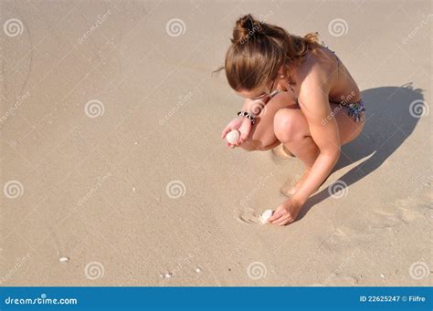 Woman Collecting Shells At The Beach Stock Image Image Of High Live