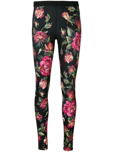 dolce and gabbana floral print leggings modesens