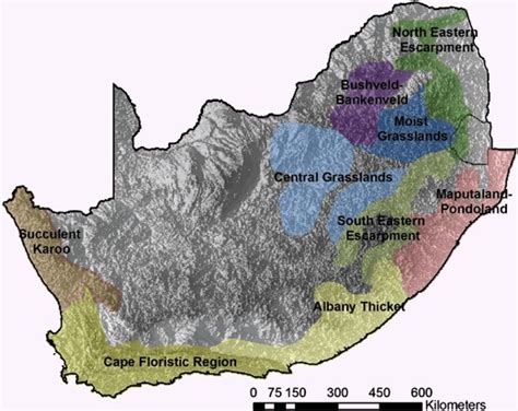 Terrestrial Biodiversity Priority Areas Of South Africa Identified
