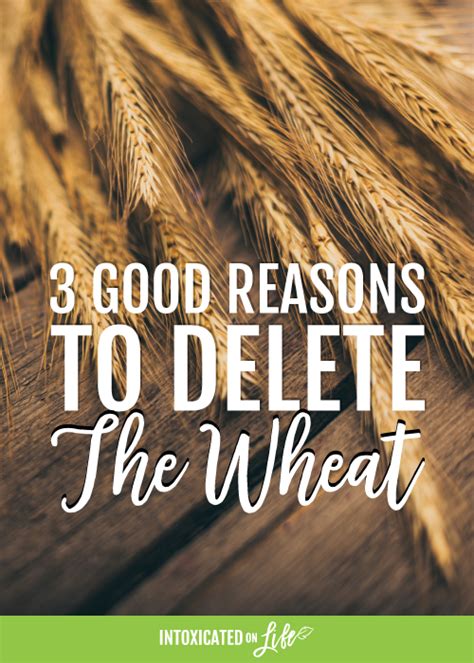 Why Is Wheat Bad For You What Scientific Studies Say