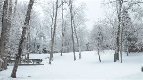 Michigan Winter Wonderland Cinematic Youtube