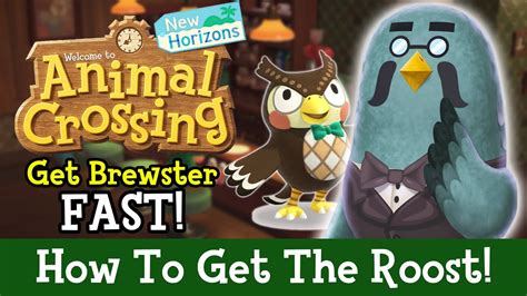 How To Get The Roost Fast Brewster Guide New Animal Crossing Update 2