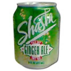 Ginger Ale Loose Pack Soda 8 Ounce 48 Per Case