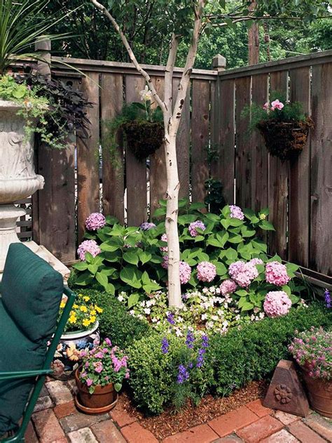 Do you have a small backyard? Landscaping Ideas for Privacy | Privacy landscaping, Corner garden, Backyard landscaping