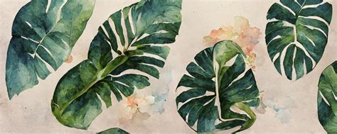 Watercolor Tropical Leaf Of Monstera Hand Painted Evergreen Tropic Plant Isolated On White
