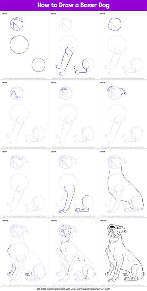 How To Draw A Boxer Dog Farm Animals Step By Step