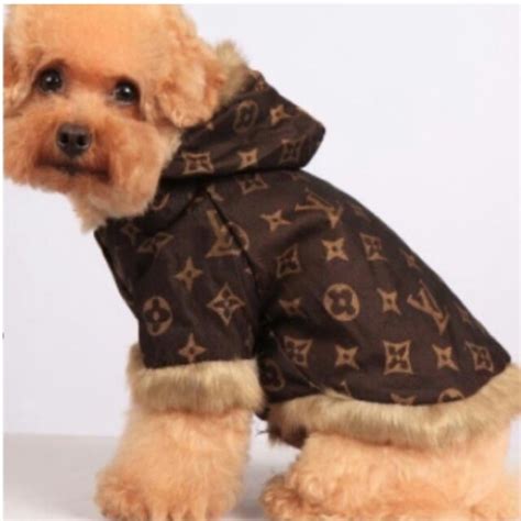 Louis Vuitton Dog Clothes Uk Literacy Ontario Central South