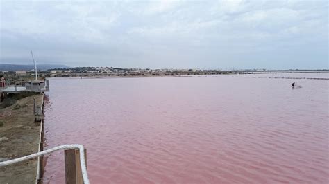 Premium Photo Saline Saint Martin Pink Salt Water Natural Color In