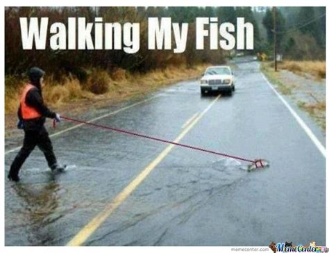 Walking My Fish Meme Just Walking My Fish Haha Pinterest