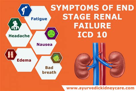 It occurs when the glomerular filtration rate drops to 15 or less. End-Stage Renal Disease ICD 10, Ayurvedic Kidney Care | Dr ...