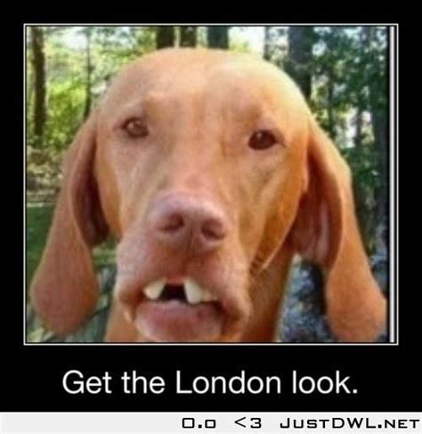 Get The London Look Meme - Get the London Look | Funny pictures, Funny memes, Bones funny