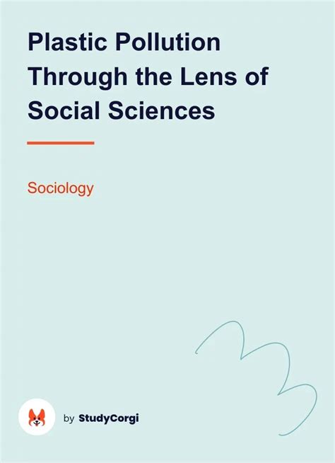 Plastic Pollution Through The Lens Of Social Sciences Free Essay Example