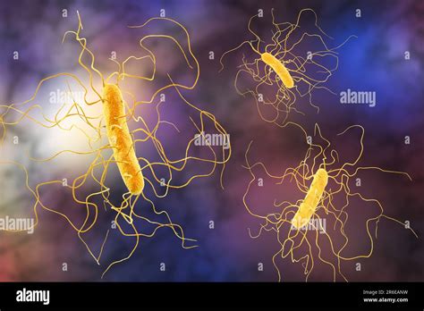 Clostridium Difficile Bacterium With Peritricous Flagella Computer