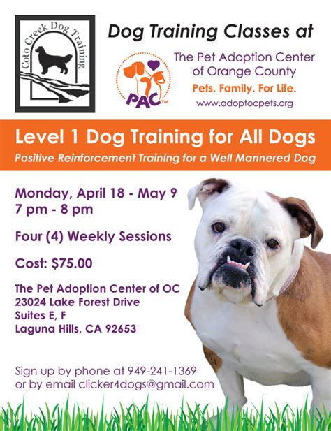 Level 1 Dog Training Classes The Pet Adoption Center Of Orange County