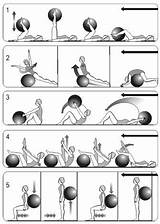 Yoga Ball Exercises