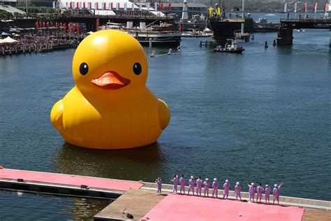 Giant Rubber Duck Swims In To Sydney Harbor ~ Kuriositas