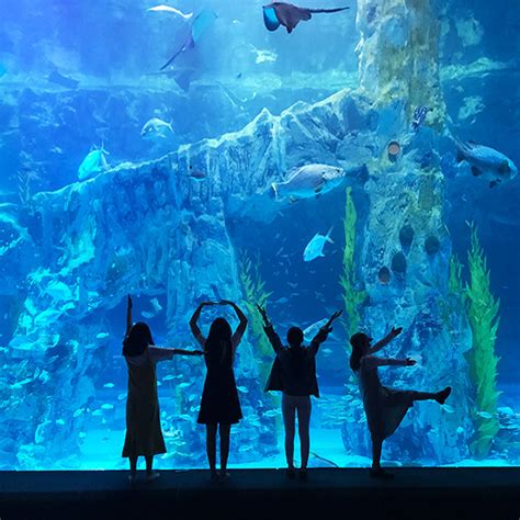 Best Aquariums In Korea Explore The Undersea World K Pop Culture