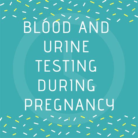 Blood And Urine Testing During Pregnancy Midwife In Berlin