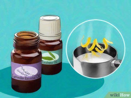 After the home is treated with flea. Pin on Rad Remedies