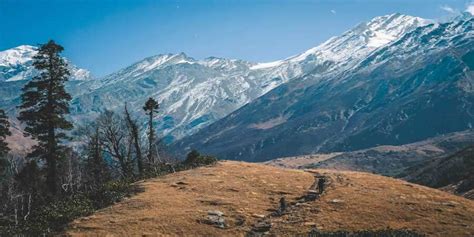 Bali Pass Trek Trekking In Uttarakhand