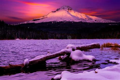 Mount Hood Trillium Lake At Sunset National Forest Oregonusa Stock