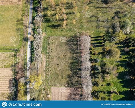 Aerial Photo Of Field And Botanic Garden With Pathway Stock Photo