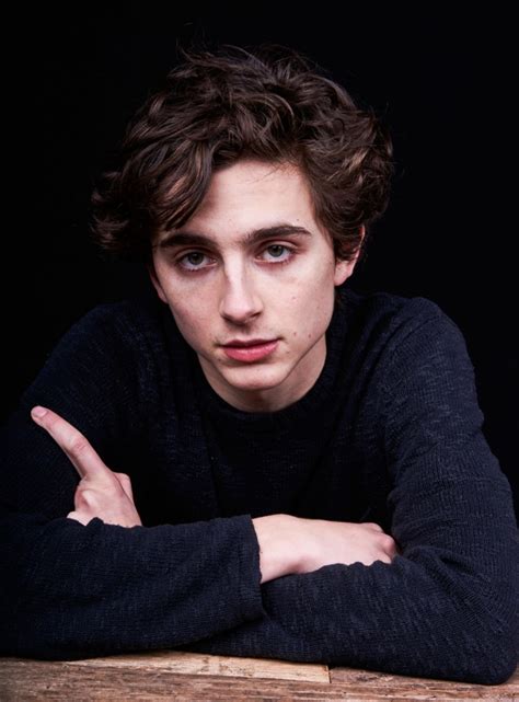 Timothée chalamet, los angeles, california. Timothee Chalamet photo 18 of 0 pics, wallpaper - photo ...