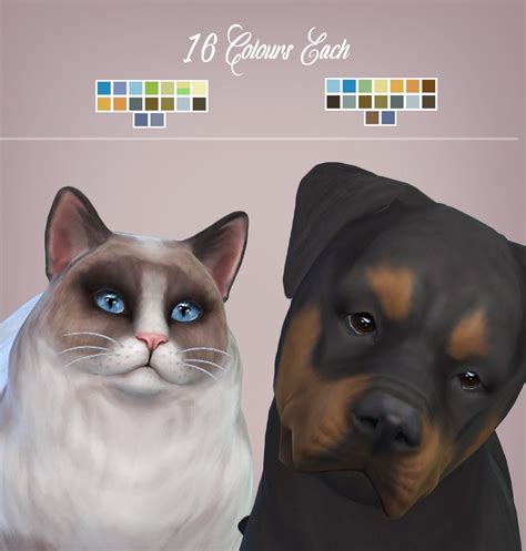 Dfj — Real Eyes Cats And Dogs Heres The More Realistic Sims 4