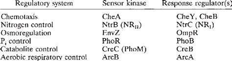 Examples Of Two Component Regulatory Systems Download Table