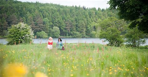 Relax On A Peaceful Walk In County Monaghan With Discover Ireland