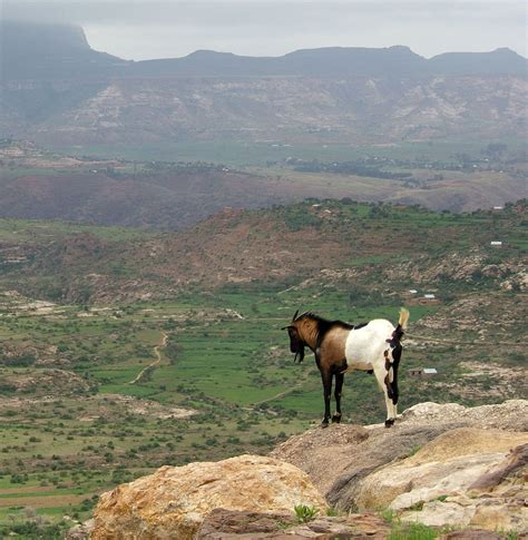 Ethiopian Plateau | region, eastern Africa | Britannica