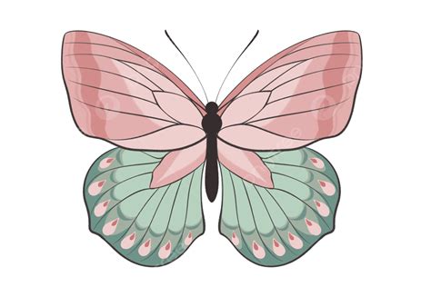 Dibujos Animados Mariposa Rosa Verde Png Pequeña Decoración De