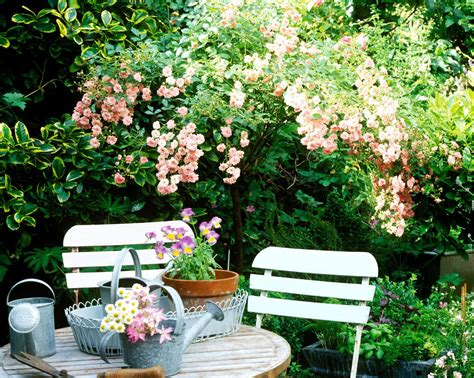 How To Give Your Small Garden The Wow Factor All Year Round Small