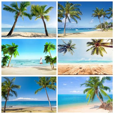 Laeacco Tropical Palms Tree Sea Beach Sand Blue Sky Baby Holiday Scenic