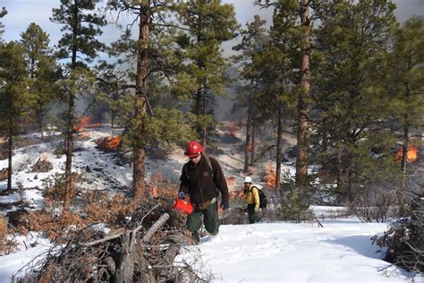 Fighting Fire With Fire Prescribed Burning Reintroduces Natural