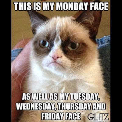 Ochanged all my passwords to incorrect so whenever i. Monday, Tuesday, Wednesday... | Grumpy cat humor, Grumpy ...