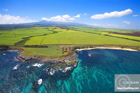 Hawaii Maui Hookipa Beach Park Stock Photo