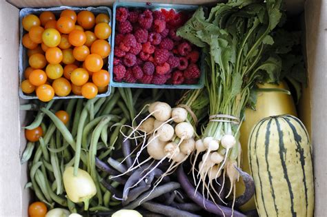 Sign Up Now For Farm Fresh Local Produce Through Community Supported