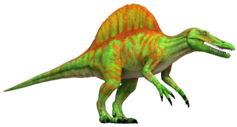 Dinosaur train and dino dan are obviously really awesome shows. Spinosaurus clipart dino dan - Pencil and in color spinosaurus clipart dino dan