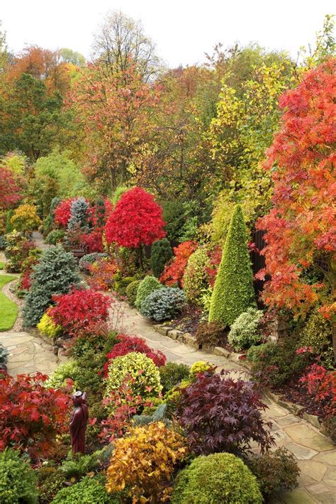 Path Through The Autumn Colours Beautiful Gardens Autumn Trees