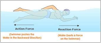 State action and a reaction in the case when a person swims - Science - Force and Laws of Motion ...