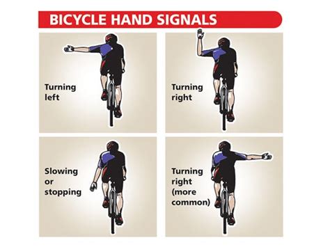 Louisville Rules For Bicyclists And Motorists