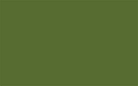 2560x1600 Dark Olive Green Solid Color Background