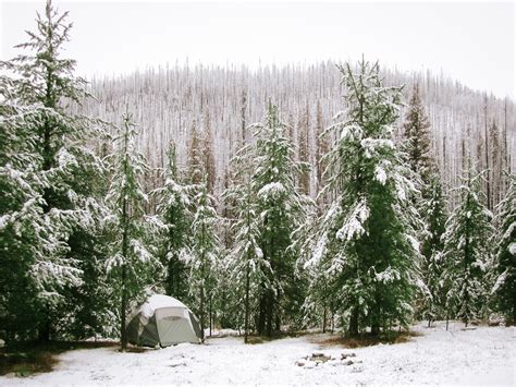 Snowy Forest Landscape Image Free Stock Photo Public