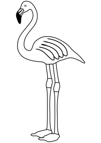 Ausmalbild Flamingo Ausmalbilder Kostenlos Zum Ausdrucken