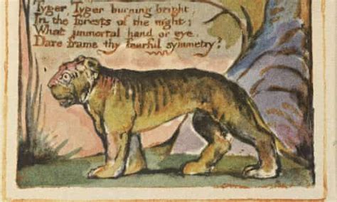 How William Blake Keeps Our Eye On The Tyger Art And Design The Guardian