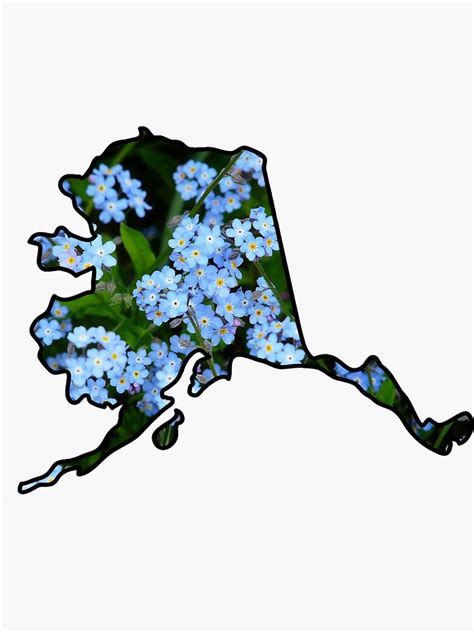 Alaska State Flower Sticker For Sale By Angiegeralis Redbubble