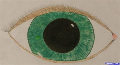 Draw And Color An Easy Realistic Eye Step By Step