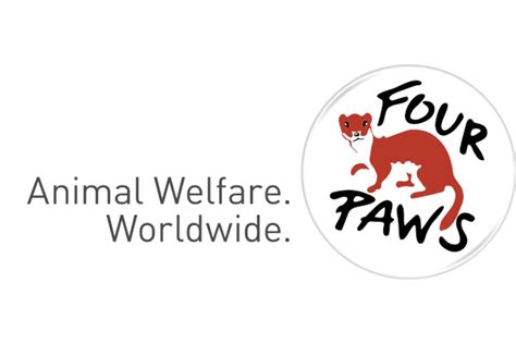 Southeast Asia Companion Animals Campaigns Consultant With Four Paws